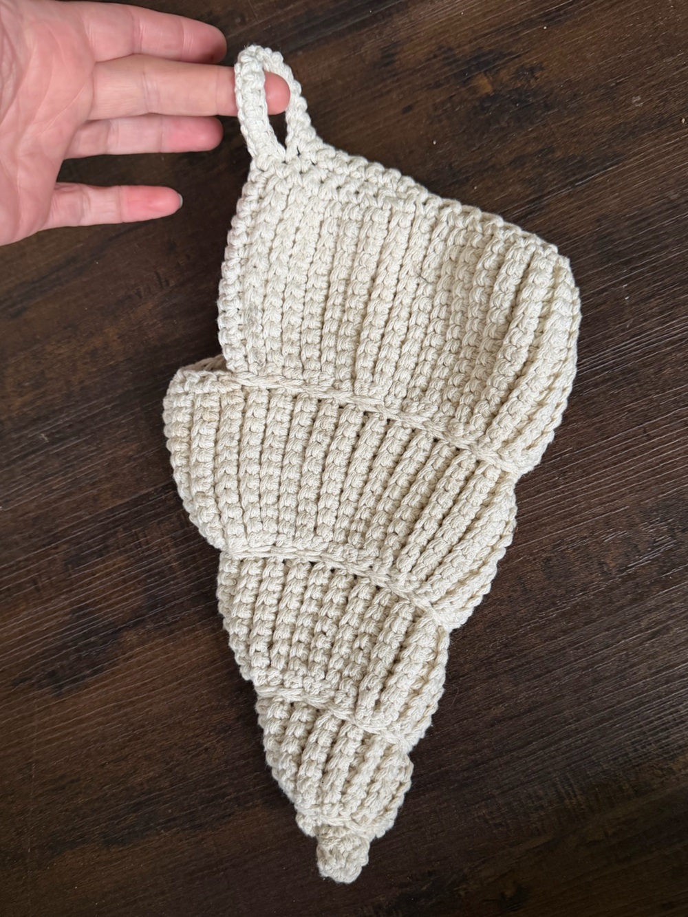 Soft cream seashell crocheted air plant holder